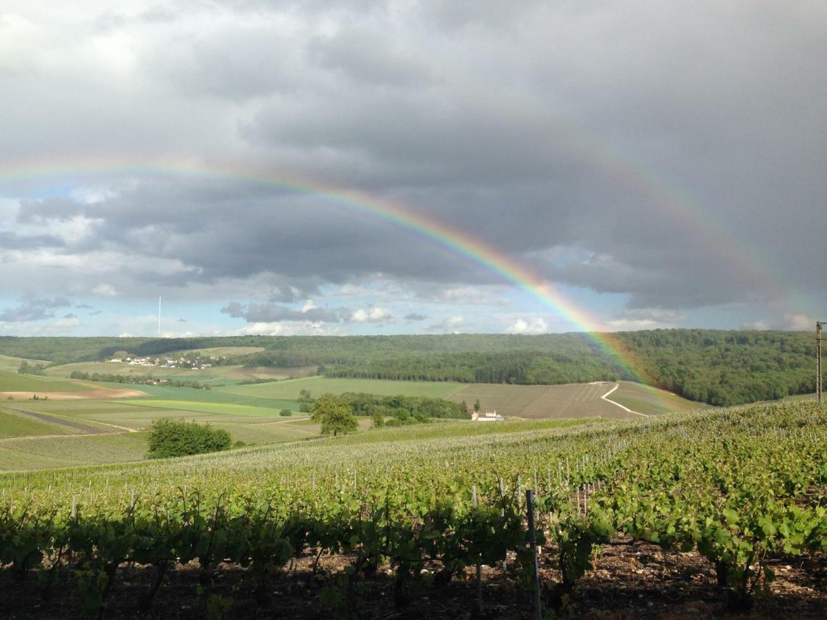 Flor'Ever En Champagne Fleury-la-Riviere エクステリア 写真