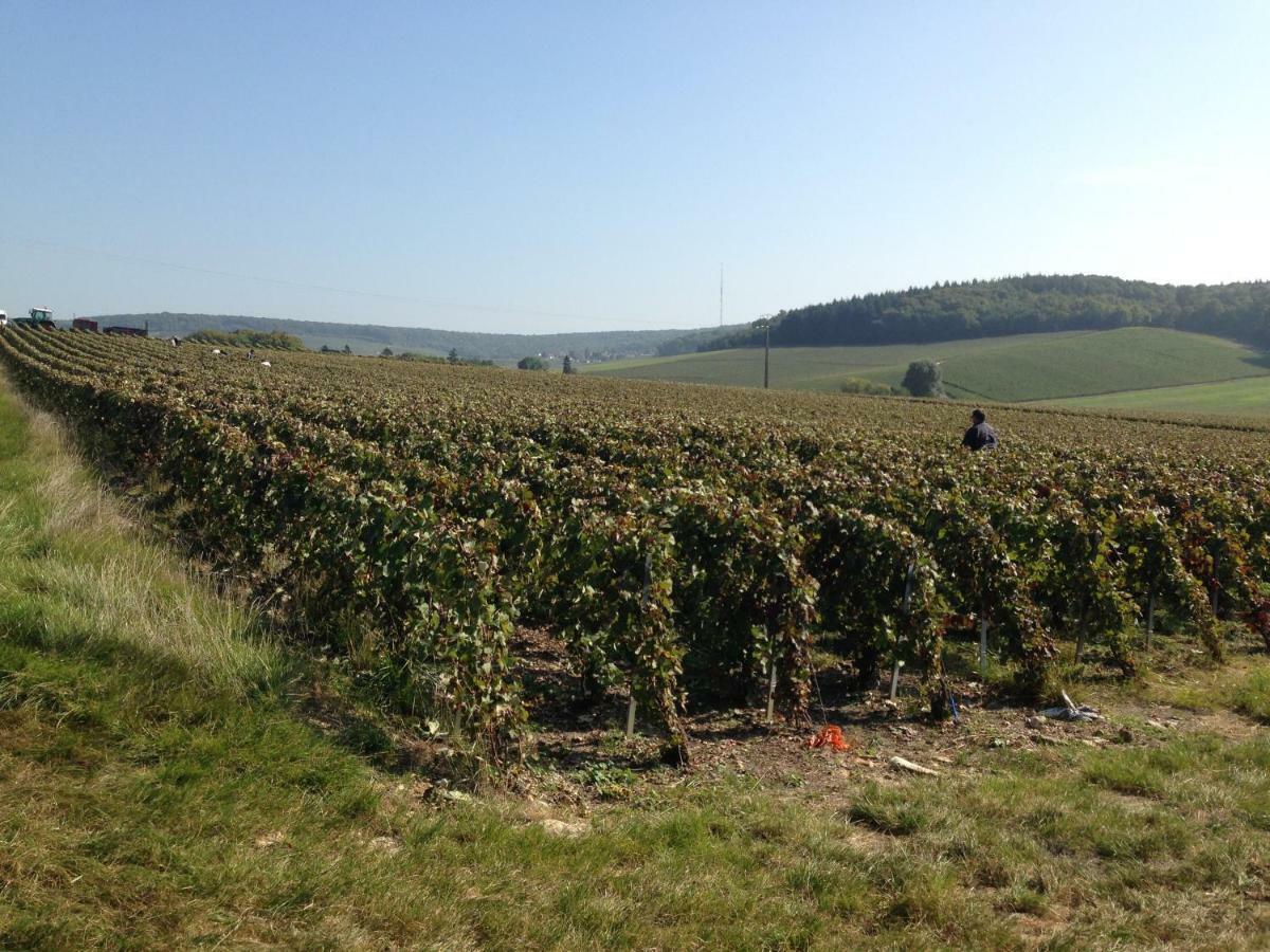 Flor'Ever En Champagne Fleury-la-Riviere エクステリア 写真