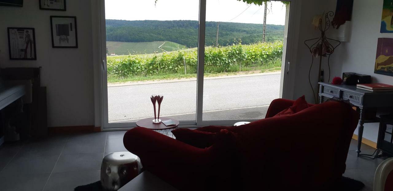 Flor'Ever En Champagne Fleury-la-Riviere エクステリア 写真