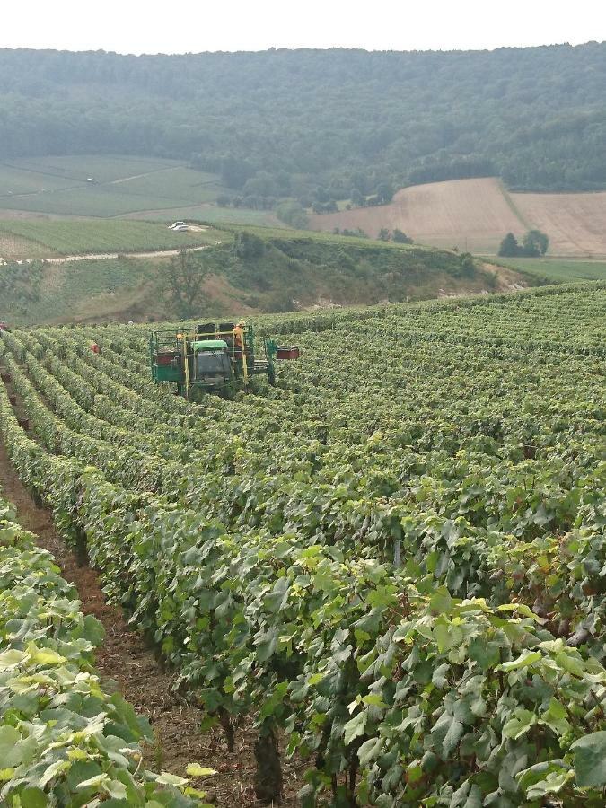 Flor'Ever En Champagne Fleury-la-Riviere エクステリア 写真