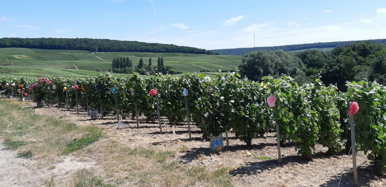 Flor'Ever En Champagne Fleury-la-Riviere エクステリア 写真