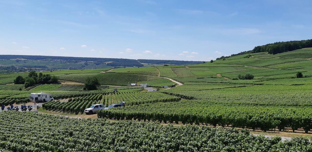 Flor'Ever En Champagne Fleury-la-Riviere エクステリア 写真